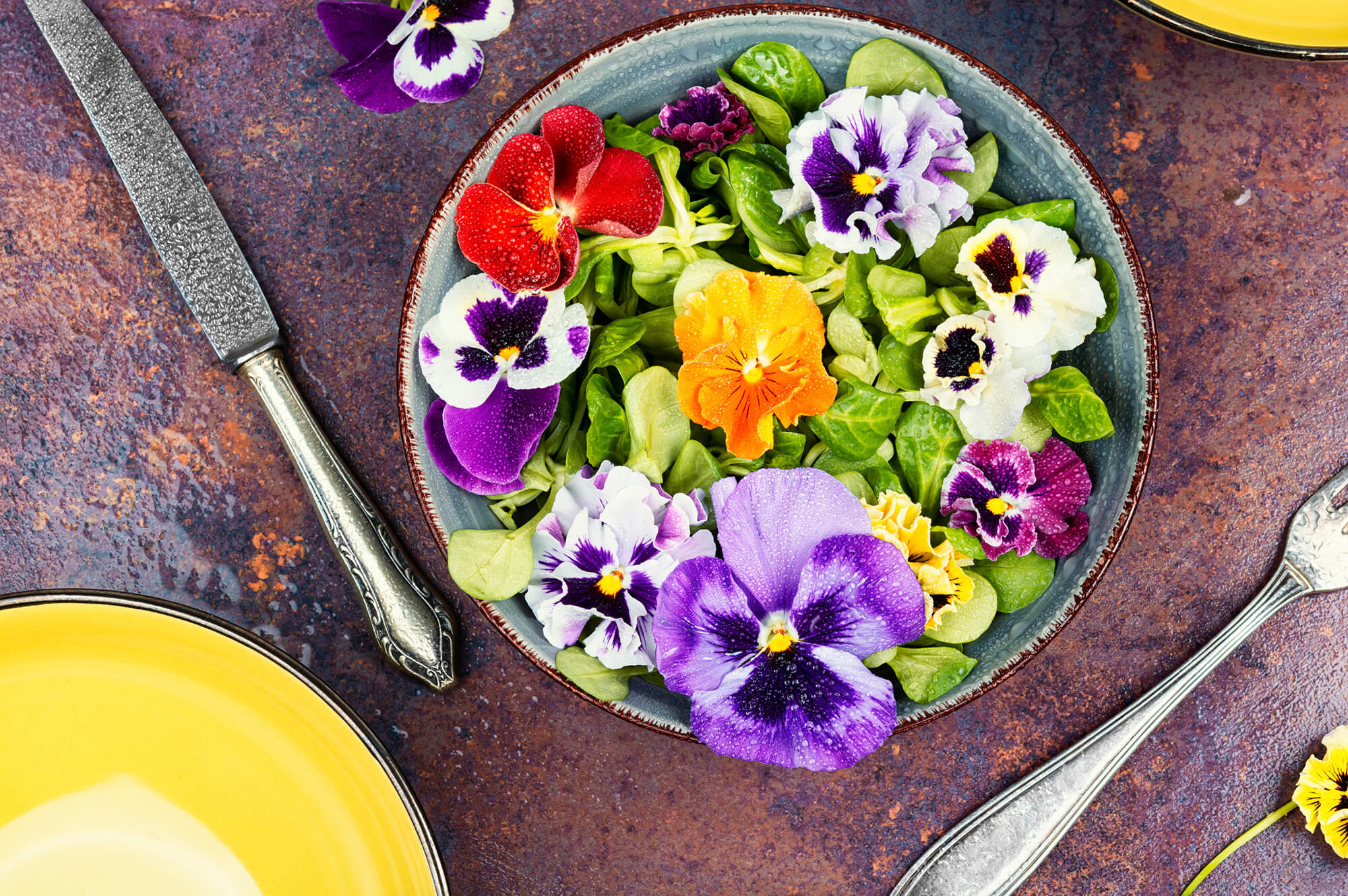 パセリ – Future farm Den園