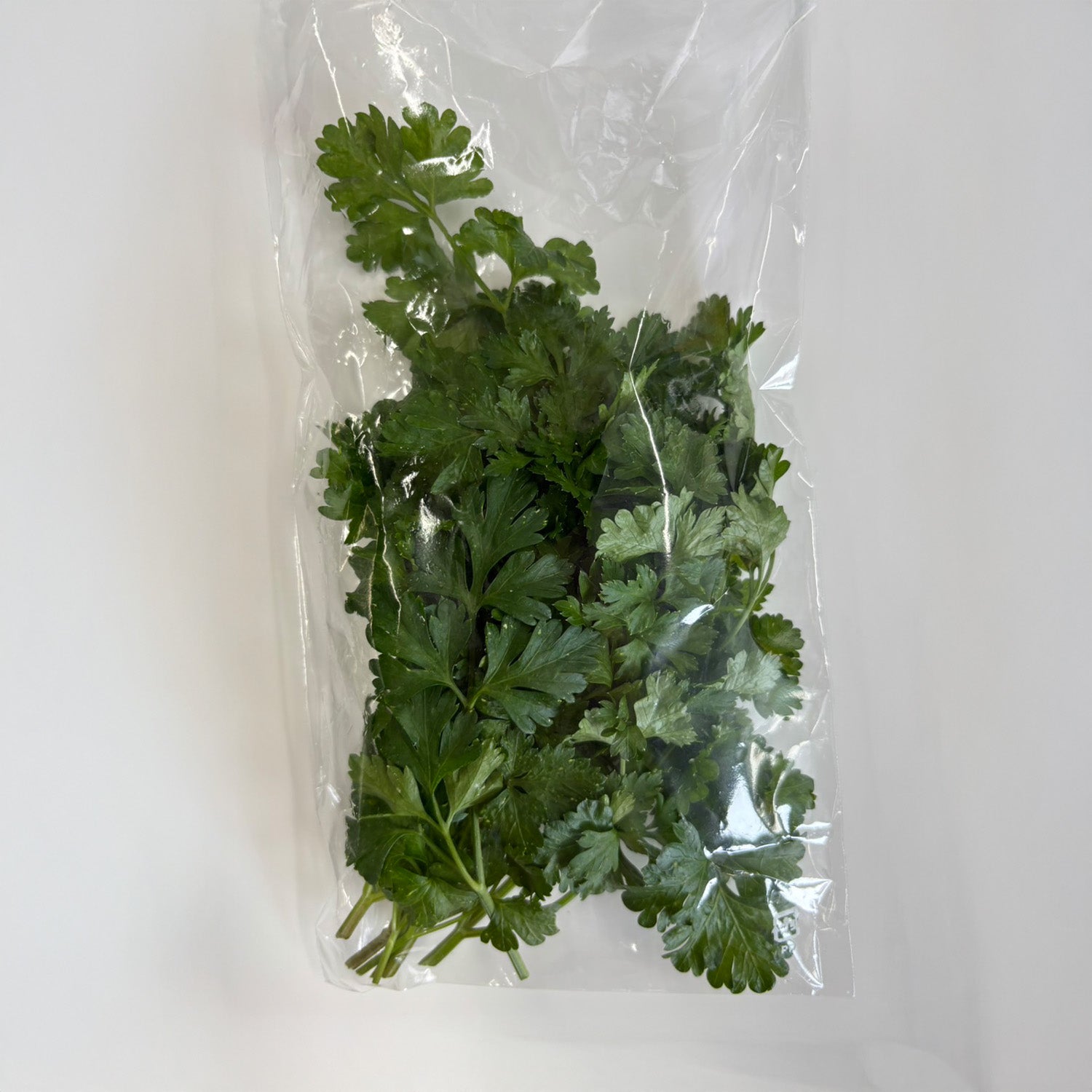 パセリ – Future farm Den園