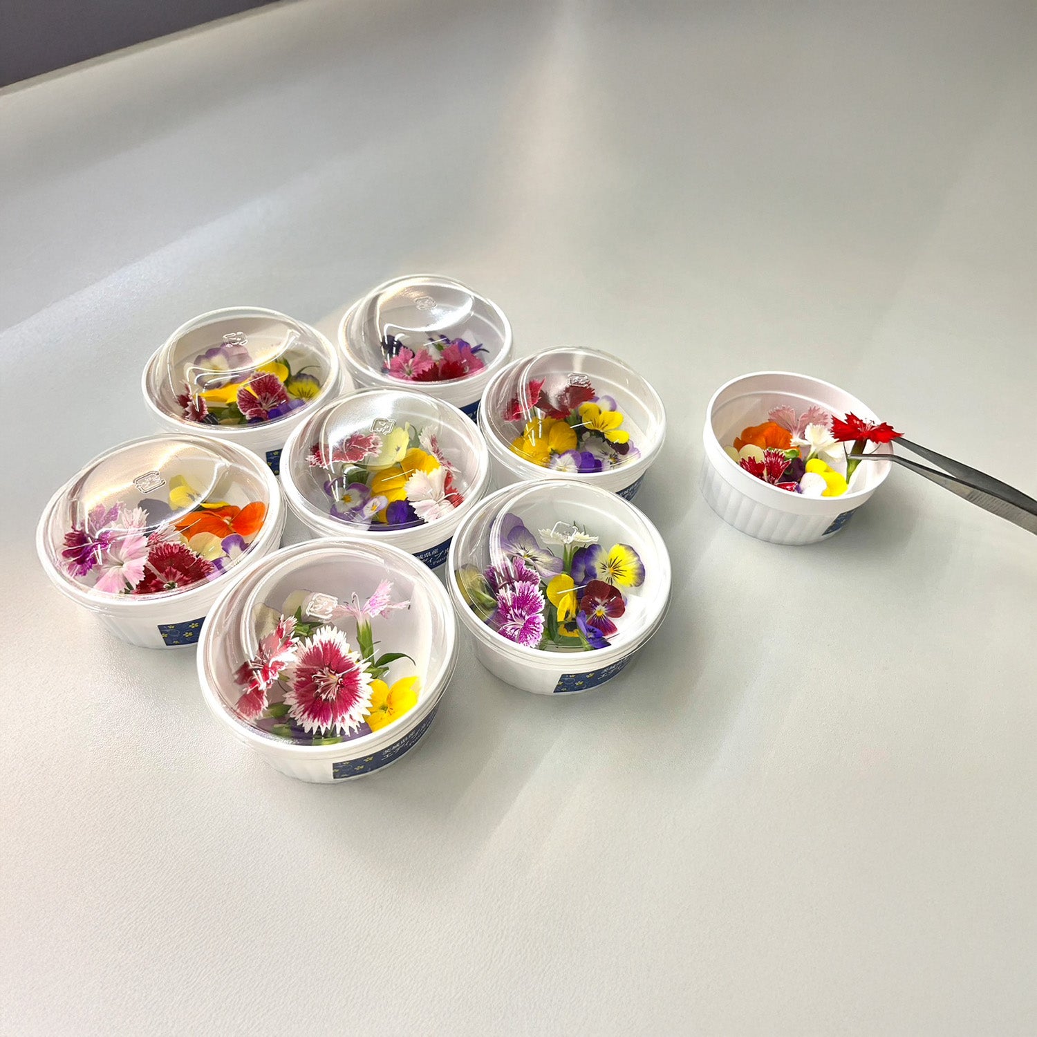 パセリ – Future farm Den園